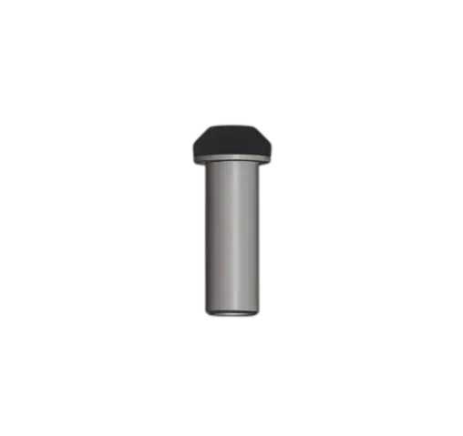 Check Valve